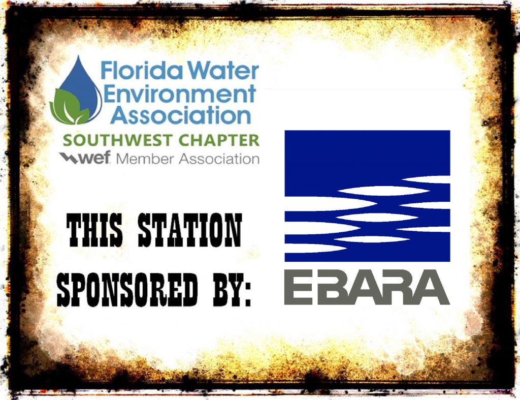 EBARA Pumps Americas Corporation 