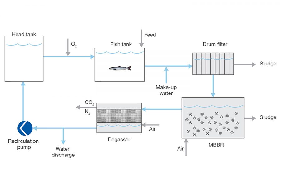 Sulzer Water treatment system process chart smolt facility