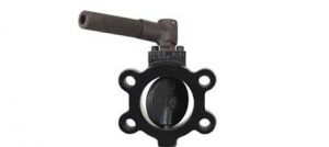 Photo of W.E. Anderson SAE butterfly valve