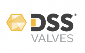 DSS Valves